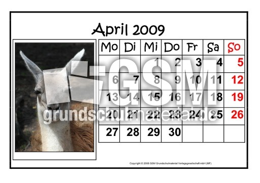 4-April-2009-quer.pdf